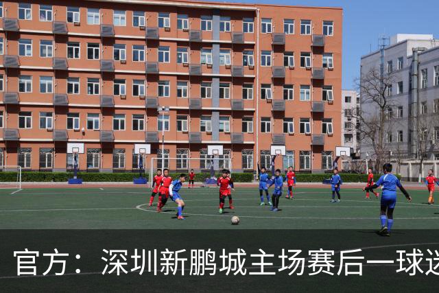 官方：深圳新鹏城主场赛后一球迷从看台跳入场内，深圳赛区被警告